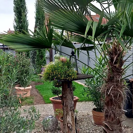 Feworeinhard Apartamento