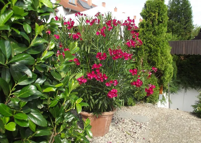 Feworeinhard * Speyer